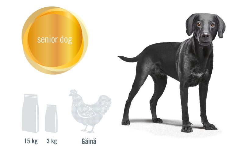 Ilustrație cu hrană pentru câini seniori, disponibilă în pachete de 15 kilograme și 3 kilograme, cu aromă de pui și un câine