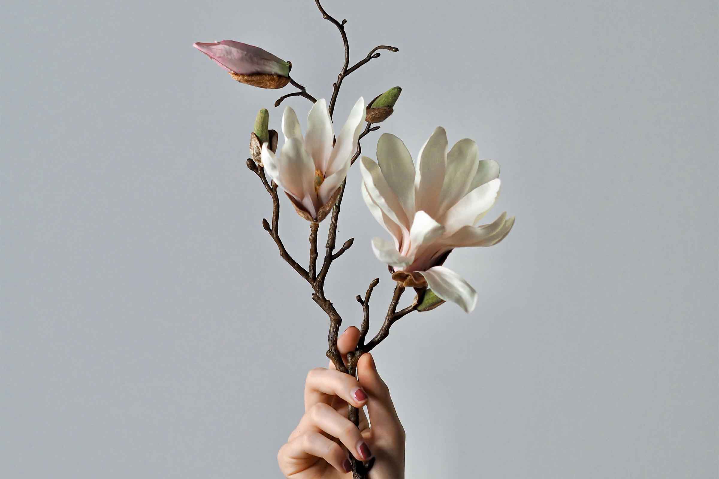 O mână ține o ramură artificială de magnolie cu flori și muguri
