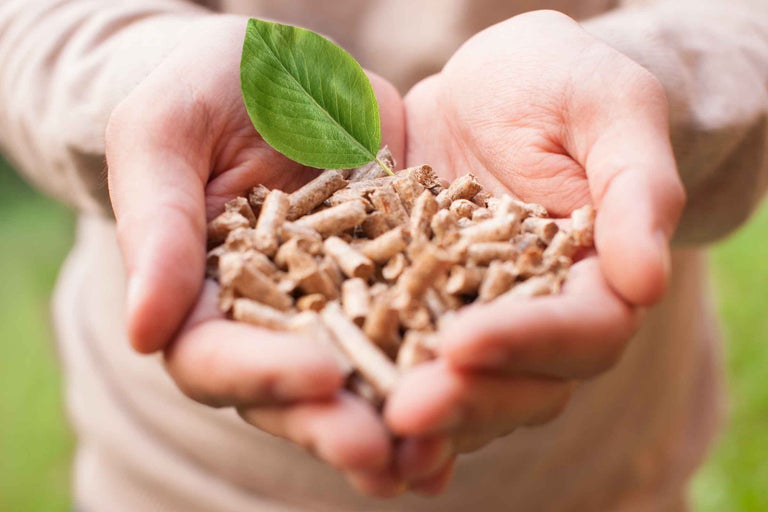 Pelete de lemn în mâini cu frunză verde