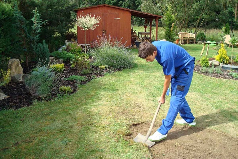 Bărbat care sapă cu o lopată în grădină, cu o magazie de grădină în fundal
