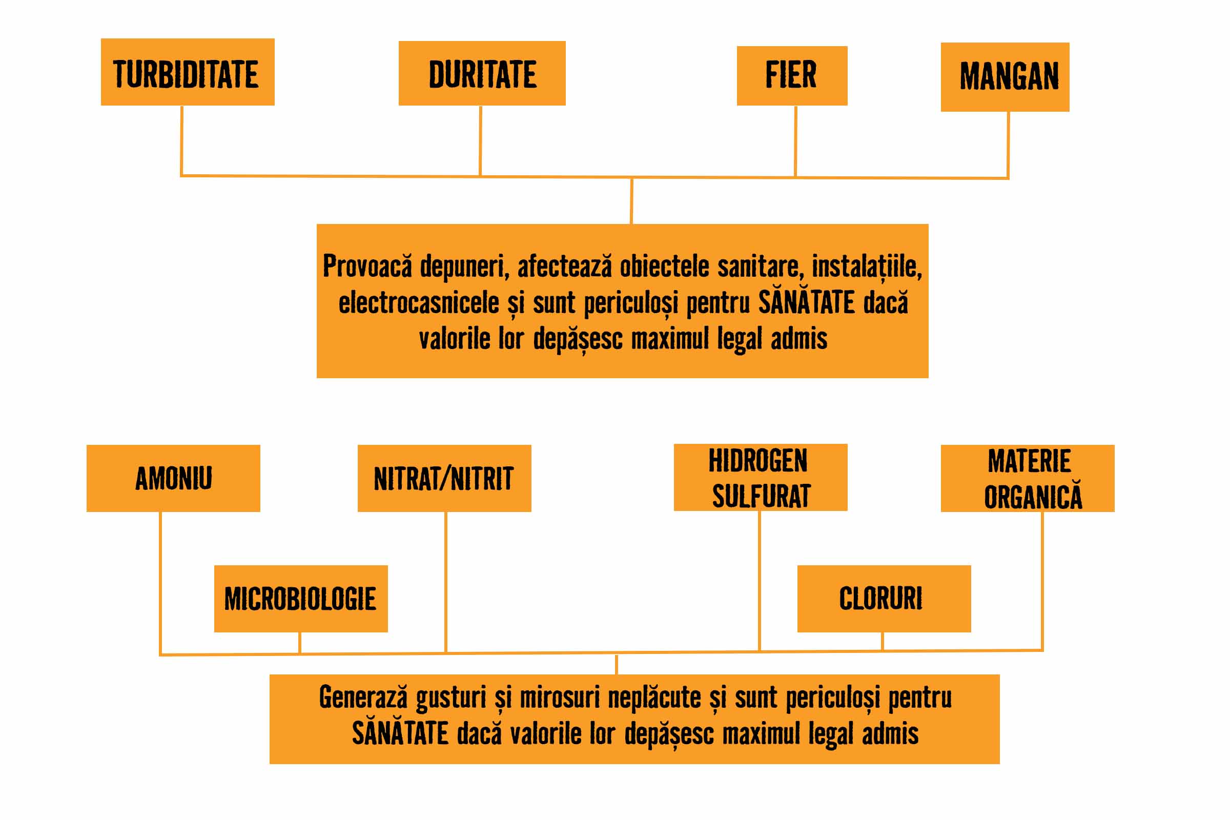 Diagramă a calității apei cu informații despre turbiditate, duritate, fier, mangan, amoniu, azotat, azotit, hidrogen sulfurat, materie organică, microbiologie și cloruri