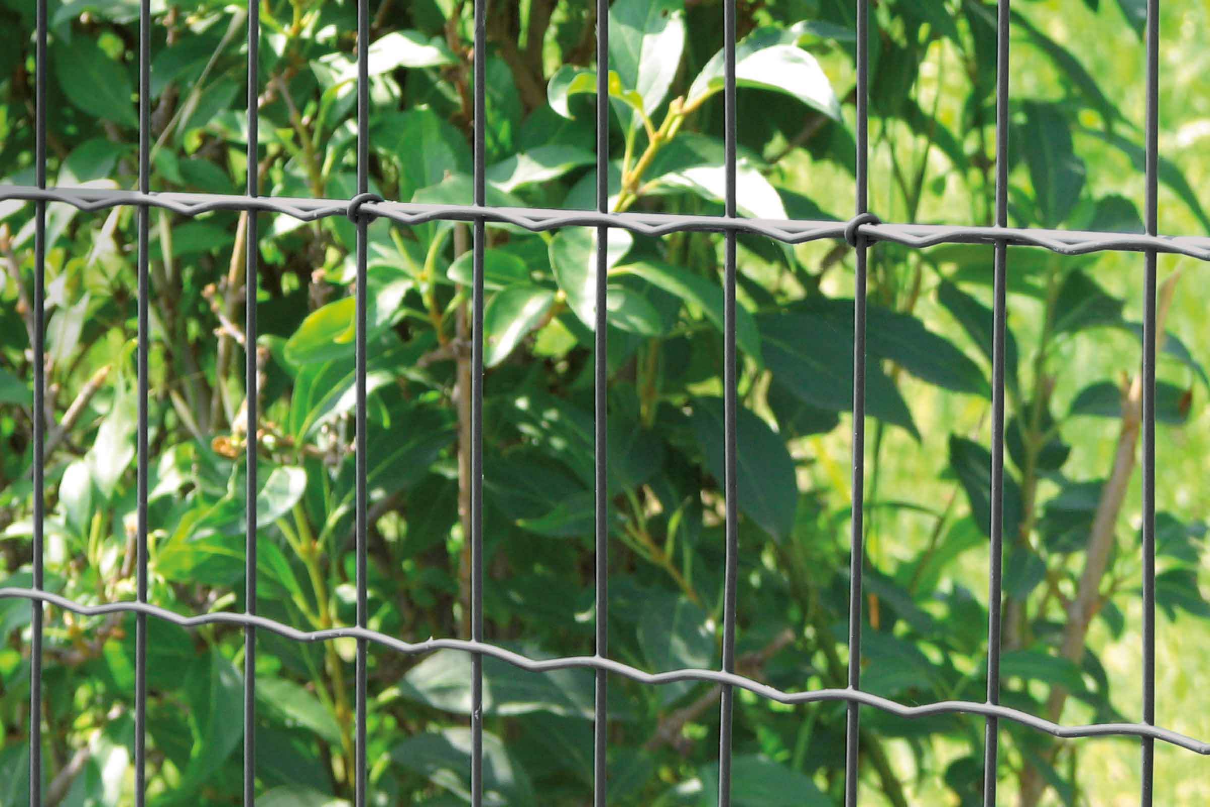 Gard din plasă sudată dublă în fața frunzișului verde