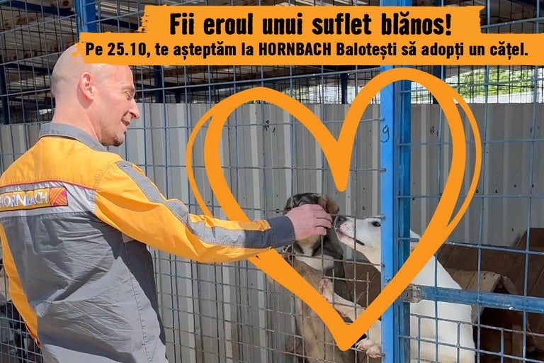 Târg de adopții pentru câinii de la ASPA la HORNBACH Balotești