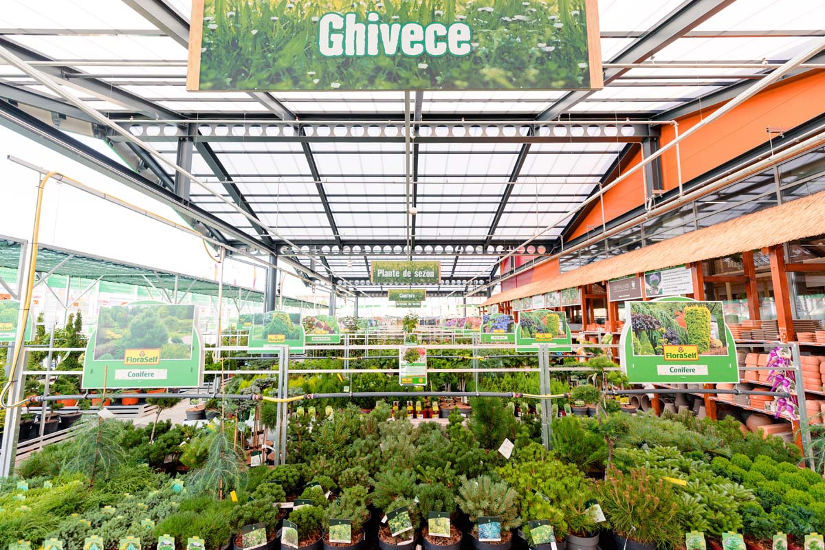 Interiorul unui centru de grădină Hornbach cu diverse plante de vânzare.