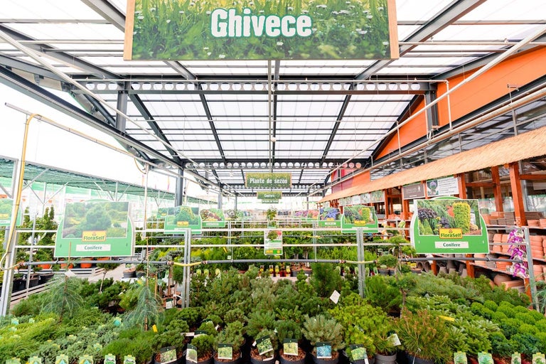 Interiorul unui centru de grădină Hornbach cu diverse plante de vânzare.