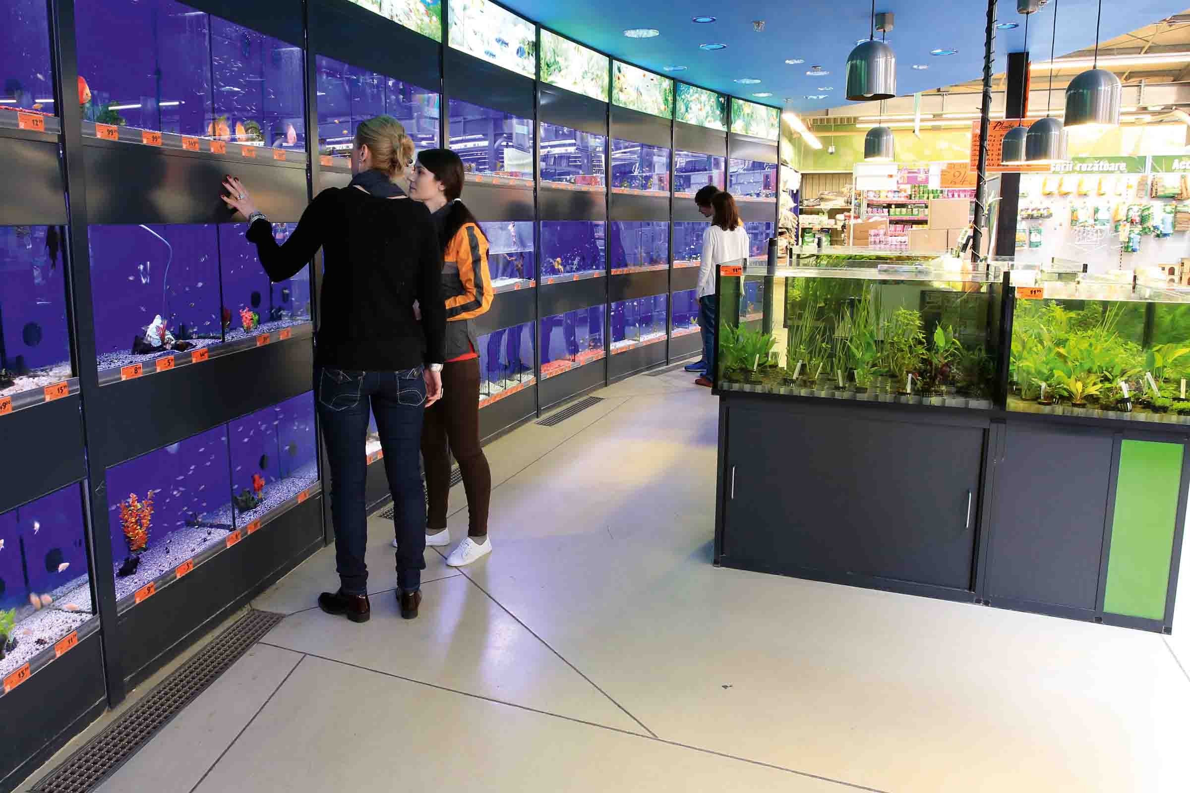 Scenă într-un magazin Hornbach: Clienți care se uită la acvarii cu pești și plante acvatice.