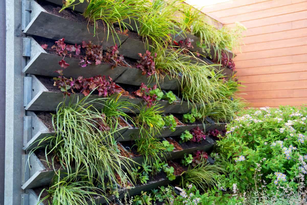Grădină verticală cu diverse plante în jardiniere modulare.