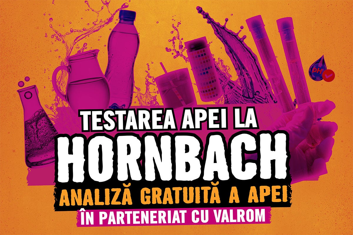 Testarea apei la Hornbach, analiză gratuită a apei în parteneriat cu Valrom cu diverse ustensile de laborator.