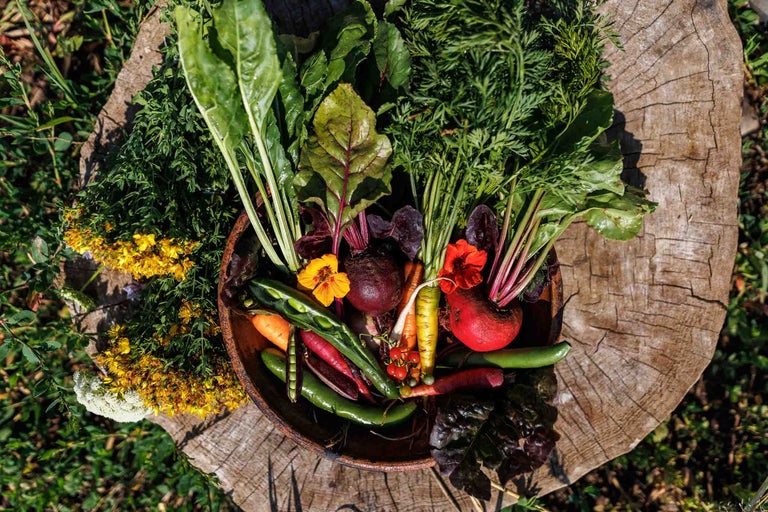 Bol din lemn cu legume, inclusiv morcovi, sfeclă și mazăre