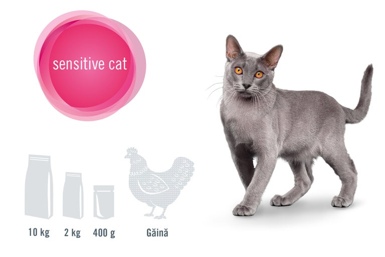 Hrană pentru pisici sensibile, diferite dimensiuni de ambalare