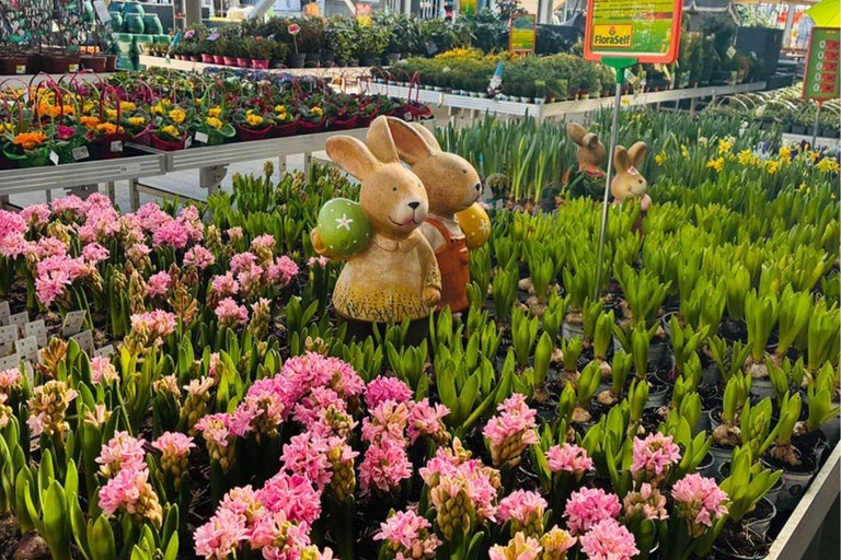 Gamă largă de flori de primăvară și decorațiuni de Paște în centrul de grădinărit.