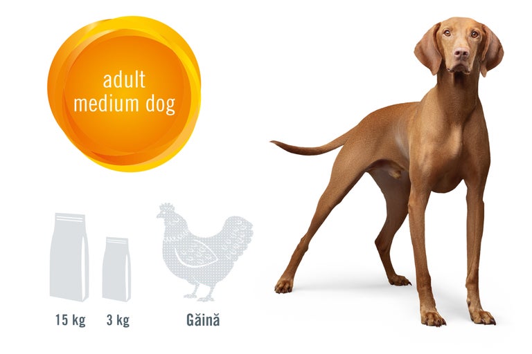 Ilustrație a unui câine adult de talie medie cu indicație de hrană 15 kilograme și 3 kilograme și ingredientul pui