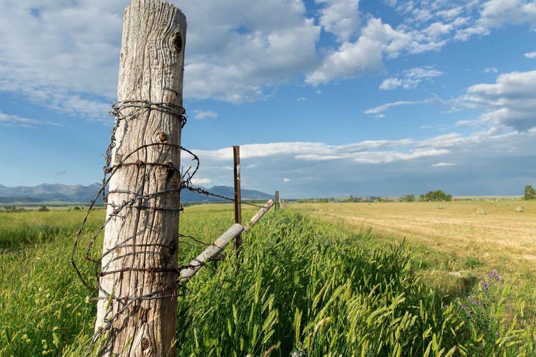 Stâlp de gard din lemn cu sârmă ghimpată pe un câmp