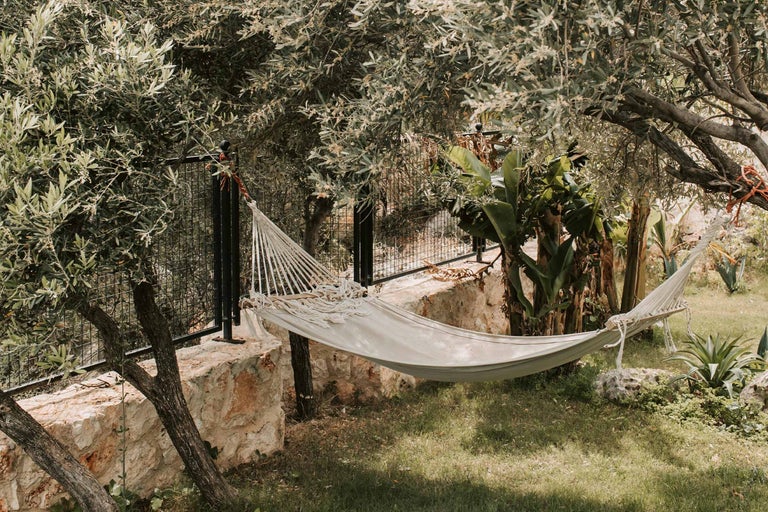 Hamac între copaci și gard în grădină