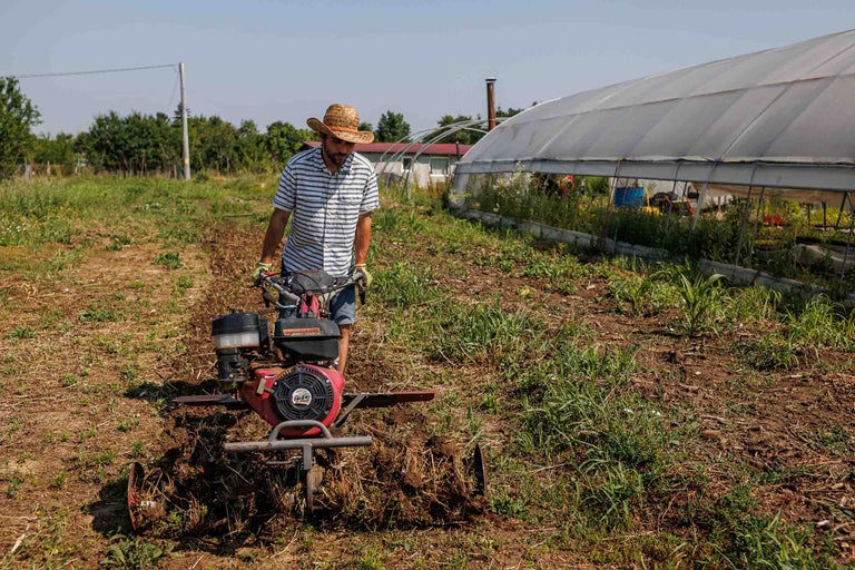 Un bărbat lucrează un câmp cu o motosapă, cu o seră în fundal.