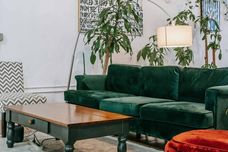 Cameră de zi cu canapea, masă și plante de apartament