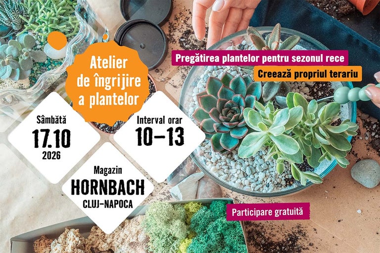 Atelier de îngrijire a plantelor la HORNBACH Cluj-Napoca - 17 octombrie 2026