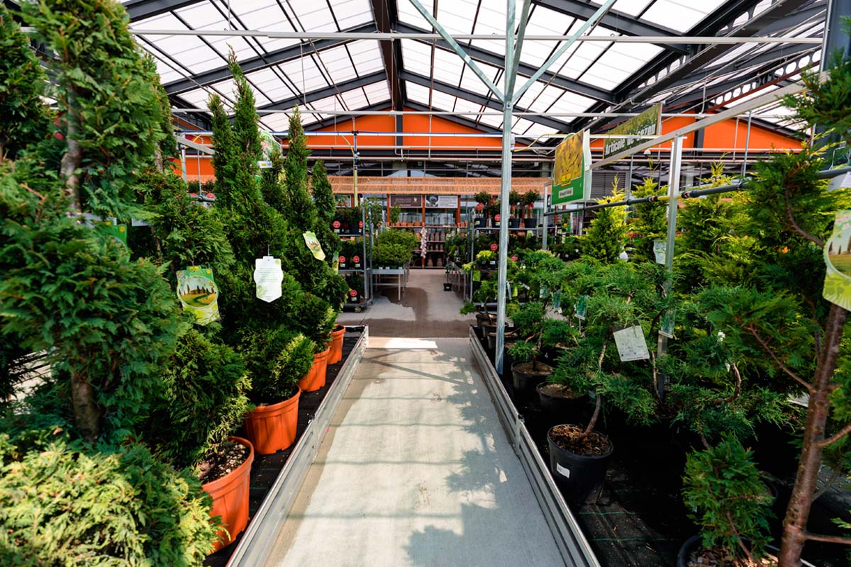 Vedere interioară a unui centru de grădinărit Hornbach cu diverse plante în ghivece