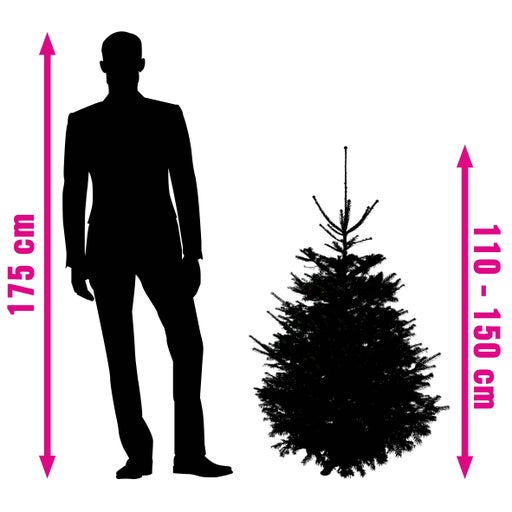 Comparație de dimensiuni: Silueta unui bărbat (175 cm) lângă un pom de Crăciun (110 până la 150 cm).