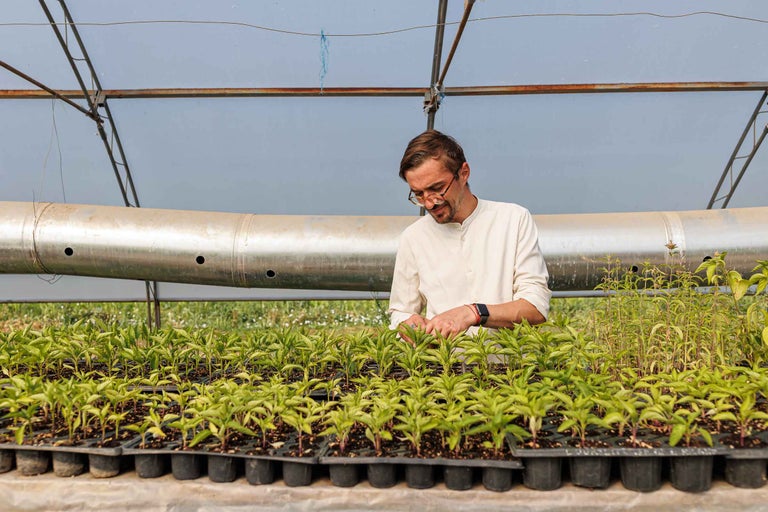 Bărbat lucrând într-o seră cu răsaduri de plante în ghivece de răsaduri.