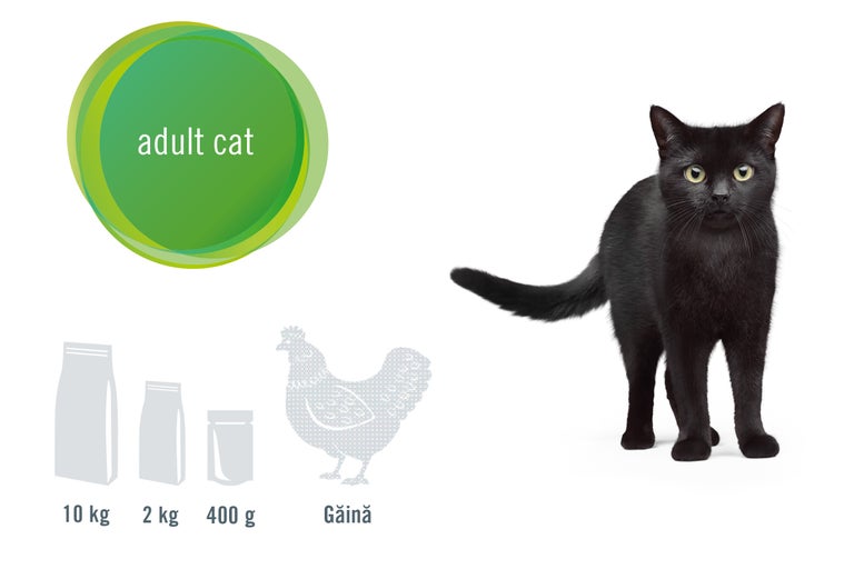 Ilustrație cu hrană pentru pisici adulte cu pui