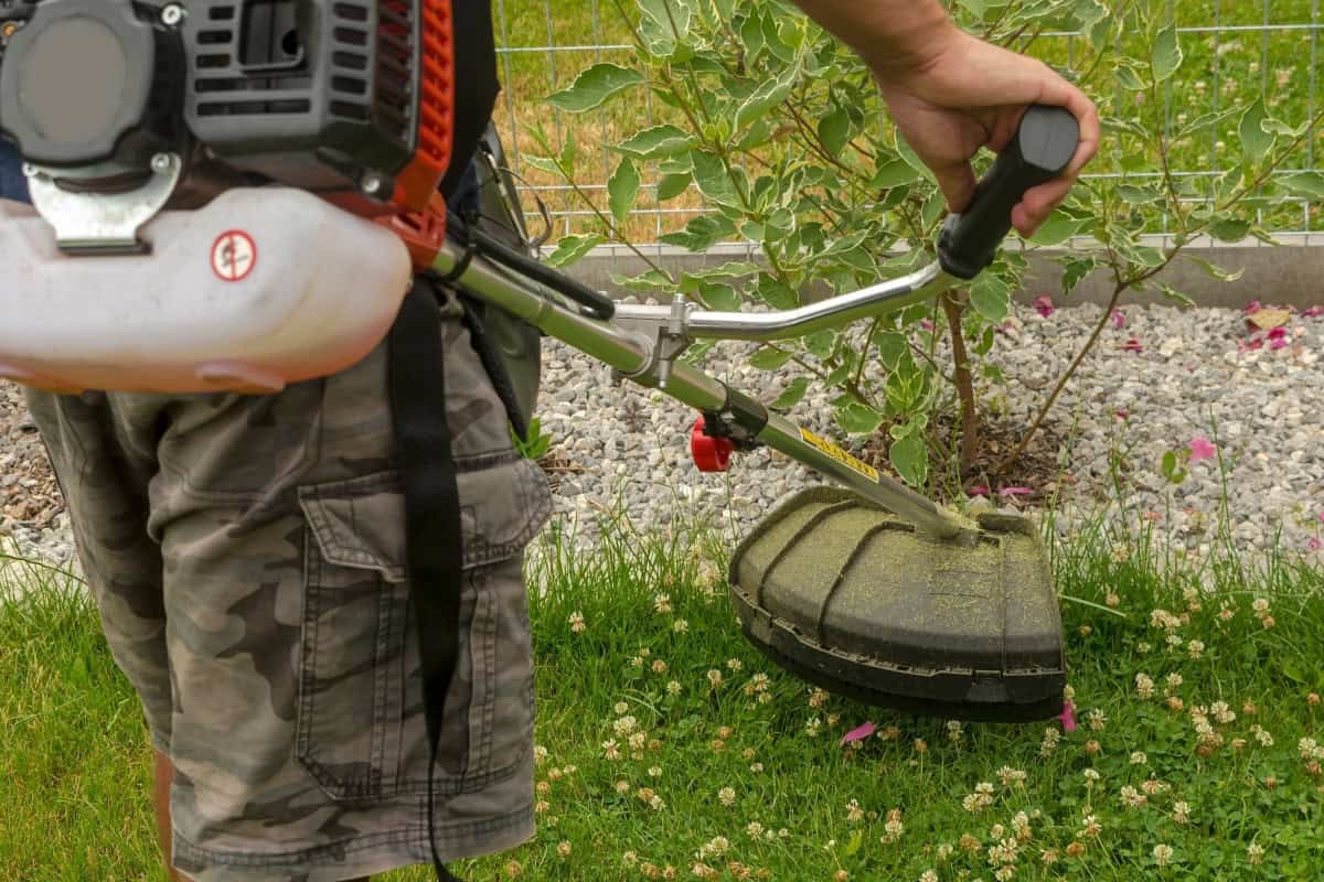 Persoană cu motocoasă de spate în grădină
