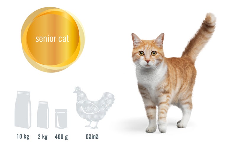Hrană pentru pisici senioare cu pui și diferite gramaje