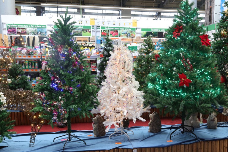 Mai mulți pomi de Crăciun decorați într-un magazin.