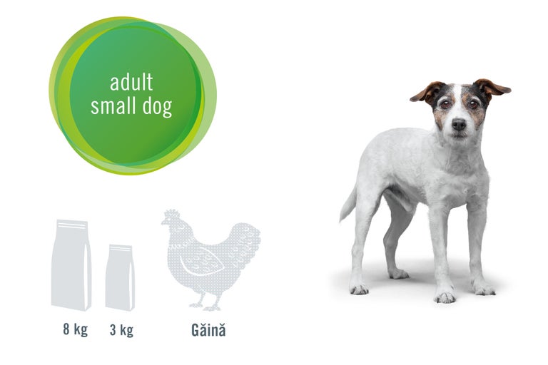 Ilustrație cu hrană pentru câini adulți de talie mică, disponibilă în pachete de 3 kg și 8 kg