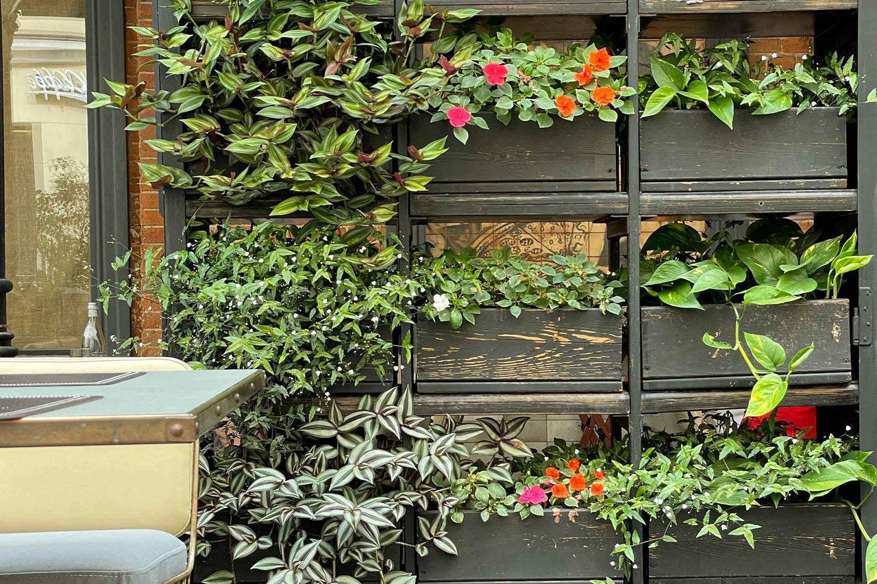 Gradina verticala cu diverse plante de interior si plante cu flori in lazi de lemn inchise la culoare pe un perete exterior.