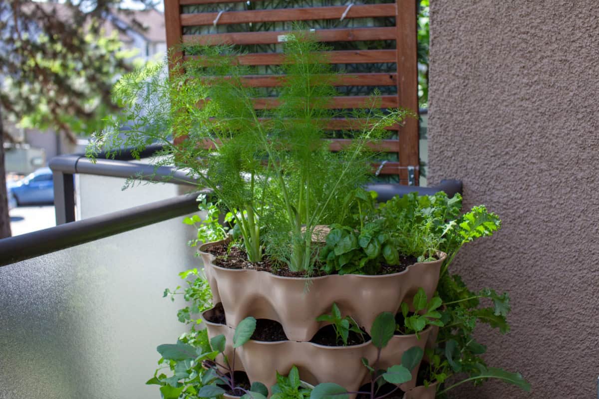 Turn de plantare cu mai multe etaje, cu diverse ierburi și legume, pe un balcon.