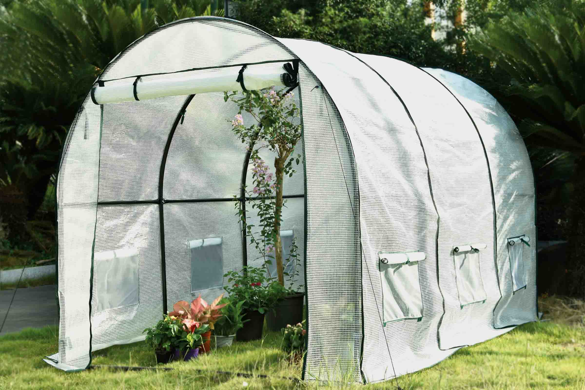 Seră cu plante pe un gazon