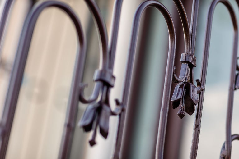 Prim-plan cu un gard metalic cu elemente decorative