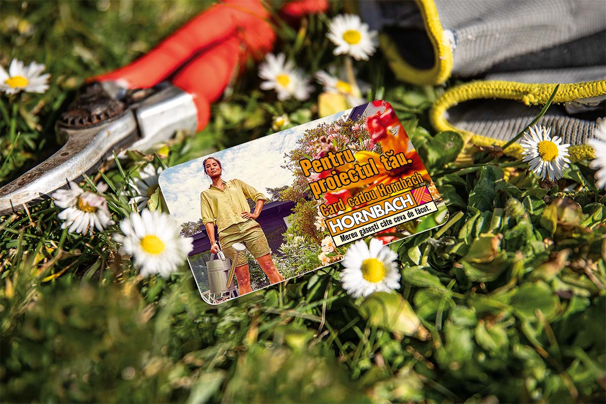 Scenă de grădină cu foarfece de grădină, mănuși de grădinărit, margarete și card cadou Hornbach