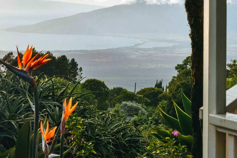 Vedere spre un peisaj cu vegetație luxuriantă și munți în fundal