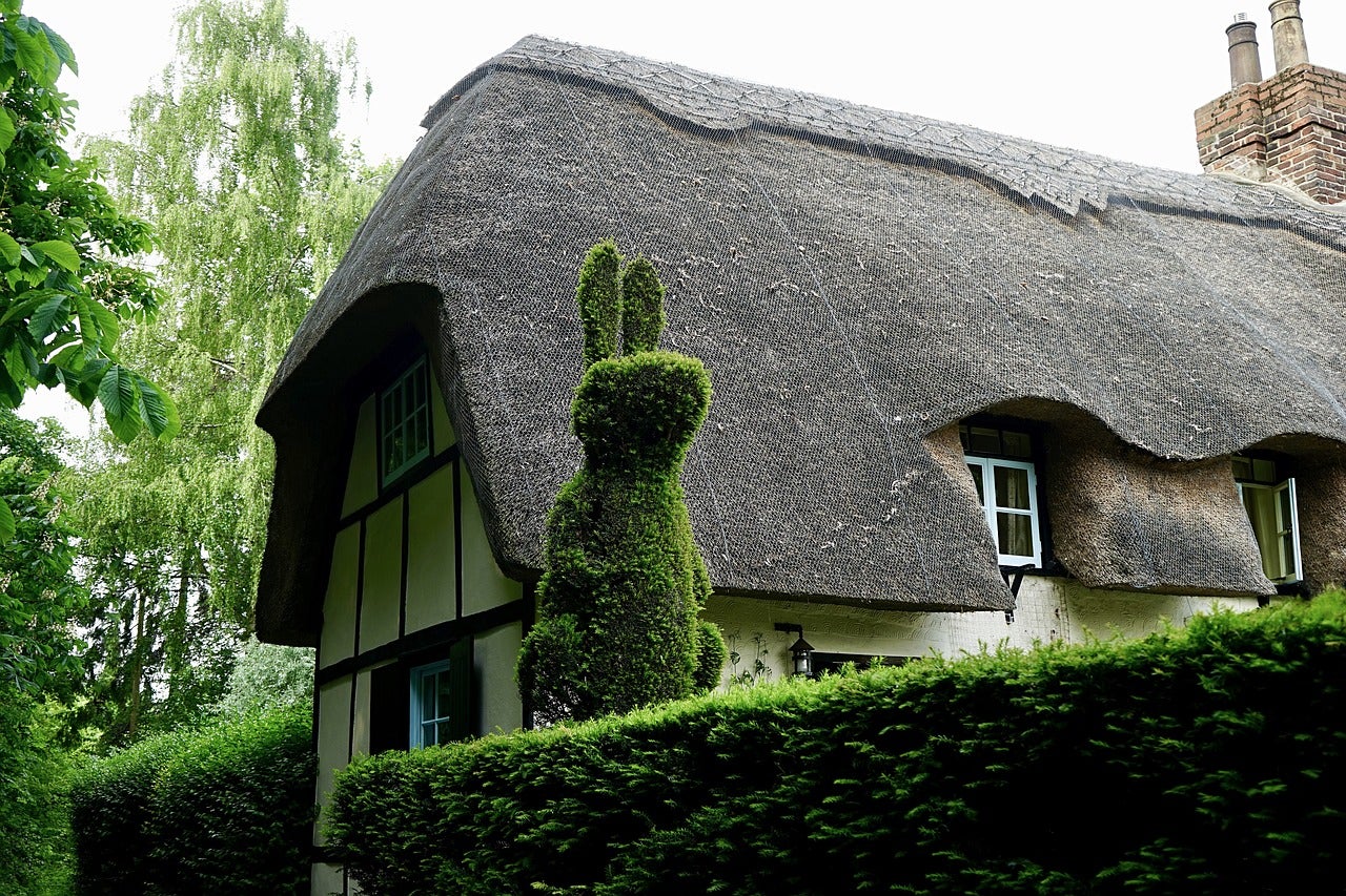 Casă cu structură de lemn și acoperiș de paie și gard viu tuns din buxus în formă de iepure