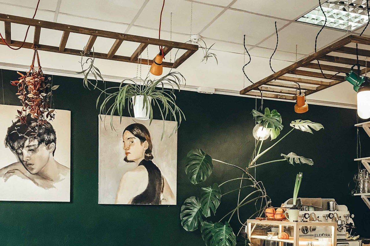 Imagine de interior cu decorațiuni precum plante, picturi și un aparat de cafea.