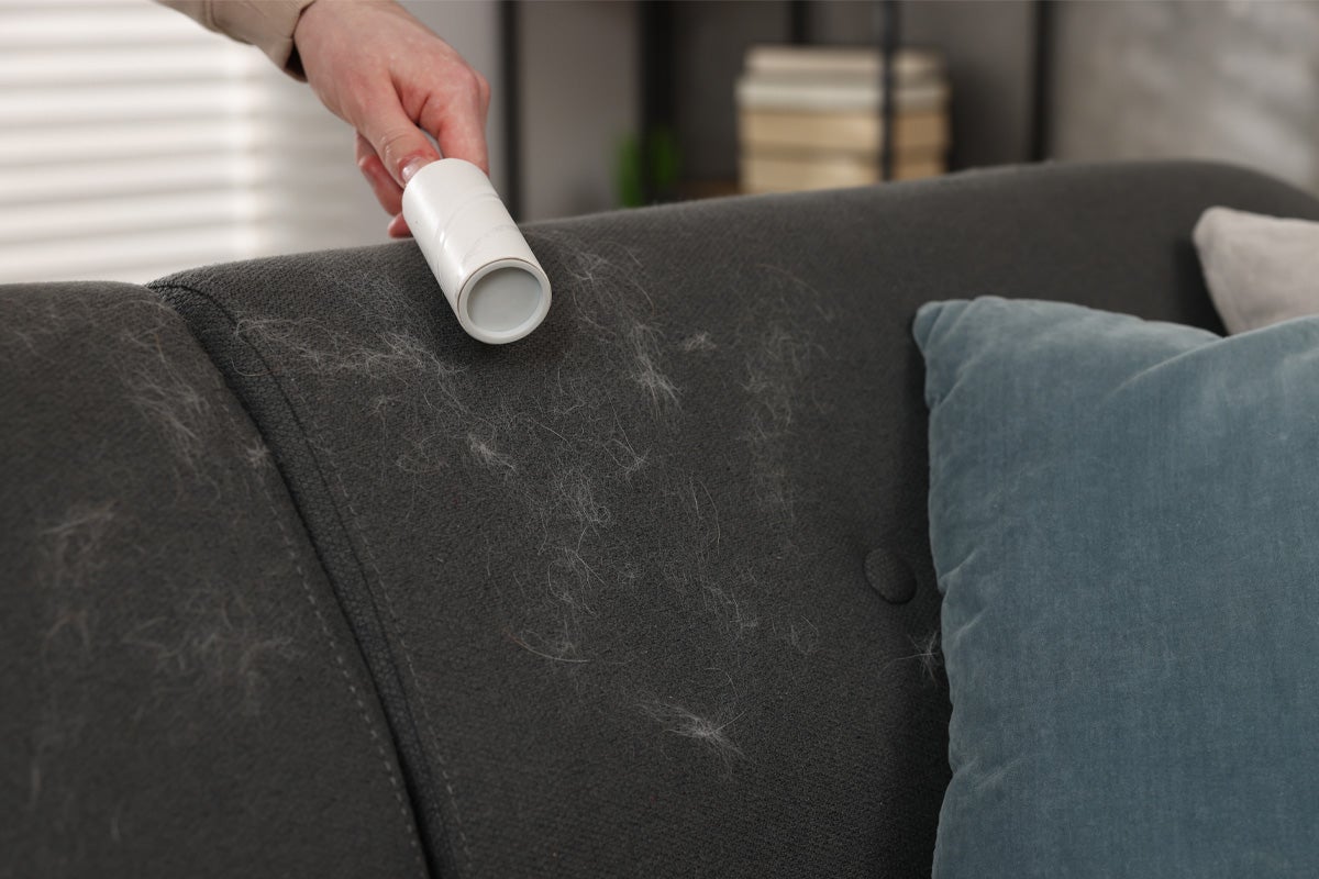 O persoană îndepărtează părul de animale cu o rolă de scame de pe o canapea.