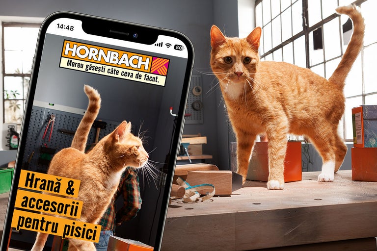 Un smartphone afișează logo Hornbach și textul Hrană și accesorii pentru pisici, lângă acesta stă o pisică pe un banc de lucru în atelier.