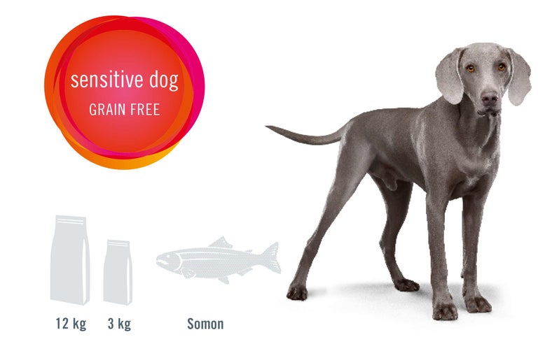 Ilustrație cu hrană pentru câini cu digestie sensibilă, fără cereale, ambalaj de 12 kilograme și 3 kilograme, cu pește