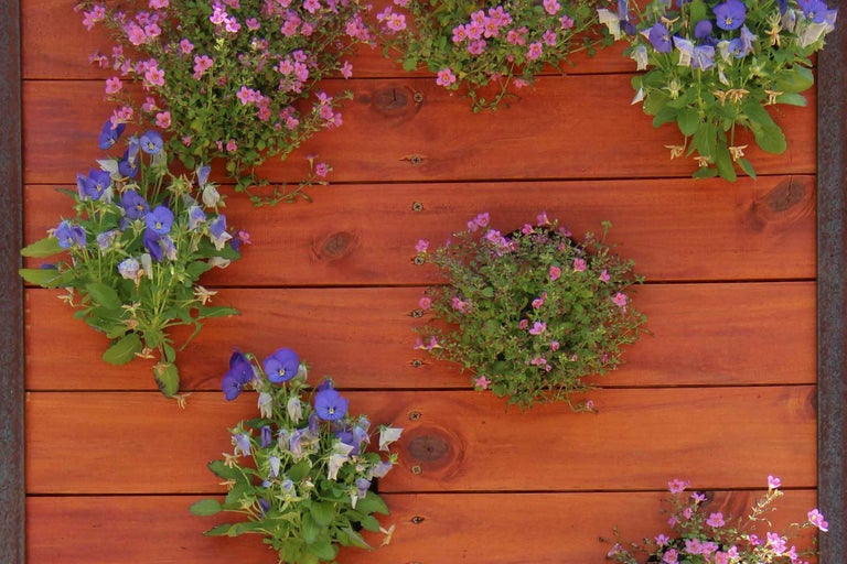 Grădină verticală din scânduri de lemn plantată cu panseluțe albastre și flori roz.