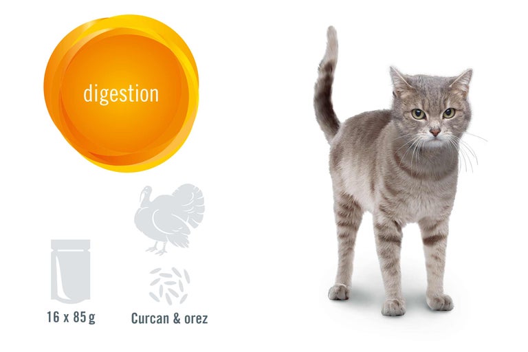 Hrană pentru pisici pentru digestie cu curcan și orez, 16 porții a câte 85 de grame