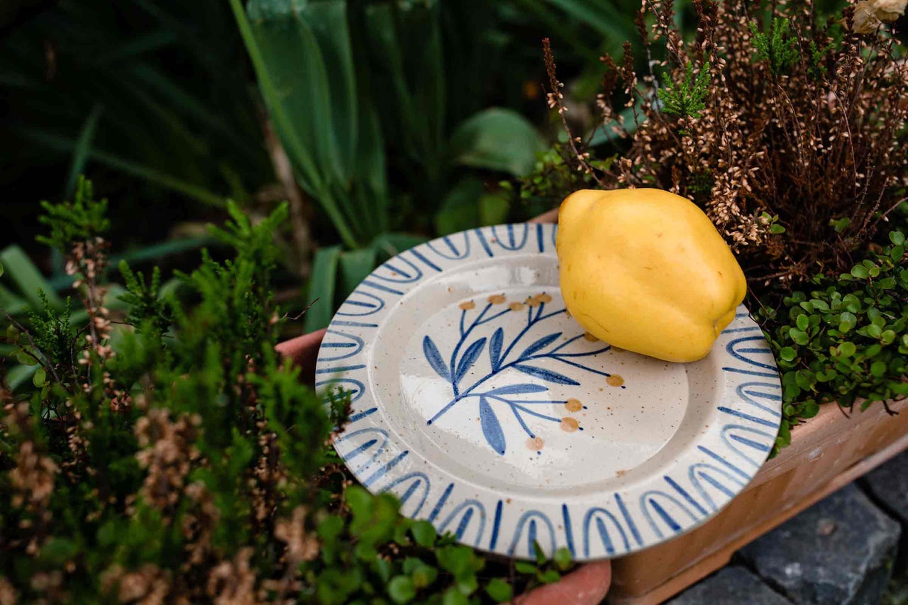 Farfurie decorativă cu fructe într-o jardinieră