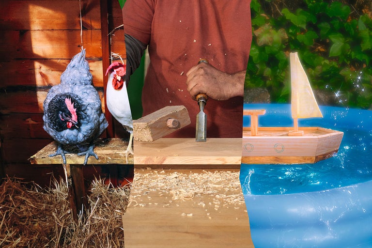 Colaj de trei imagini: găini în coteț, prelucrarea lemnului cu daltă și ciocan de lemn și o barcă de jucărie din lemn într-o piscină.