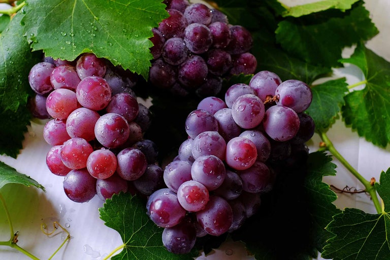 Trei ciorchini de struguri roșii de masă cu frunze