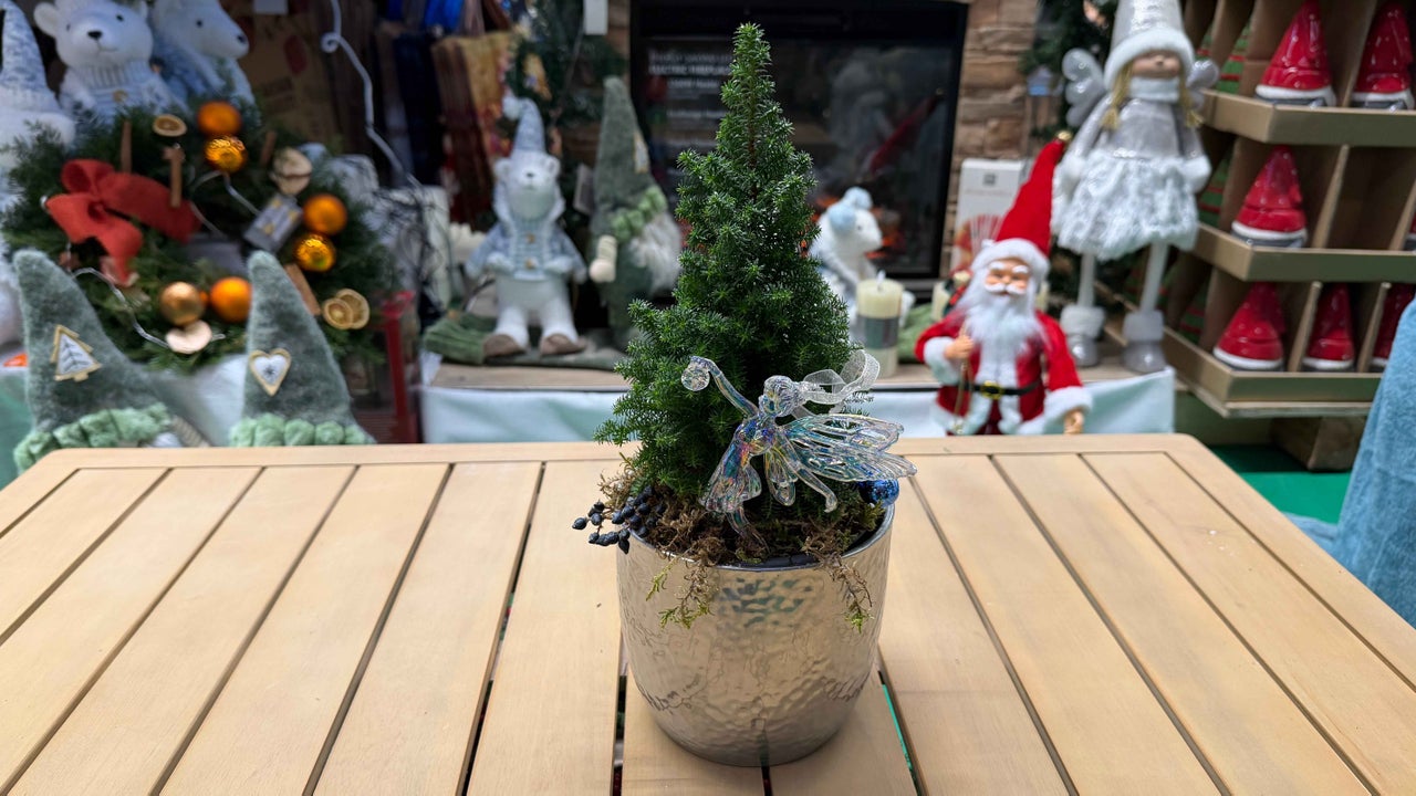 Brad de Crăciun miniatural decorativ în ghiveci cu figurină de zână ca decorațiune de masă