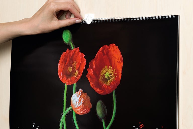 Un calendar cu motiv de maci este fixat pe perete.