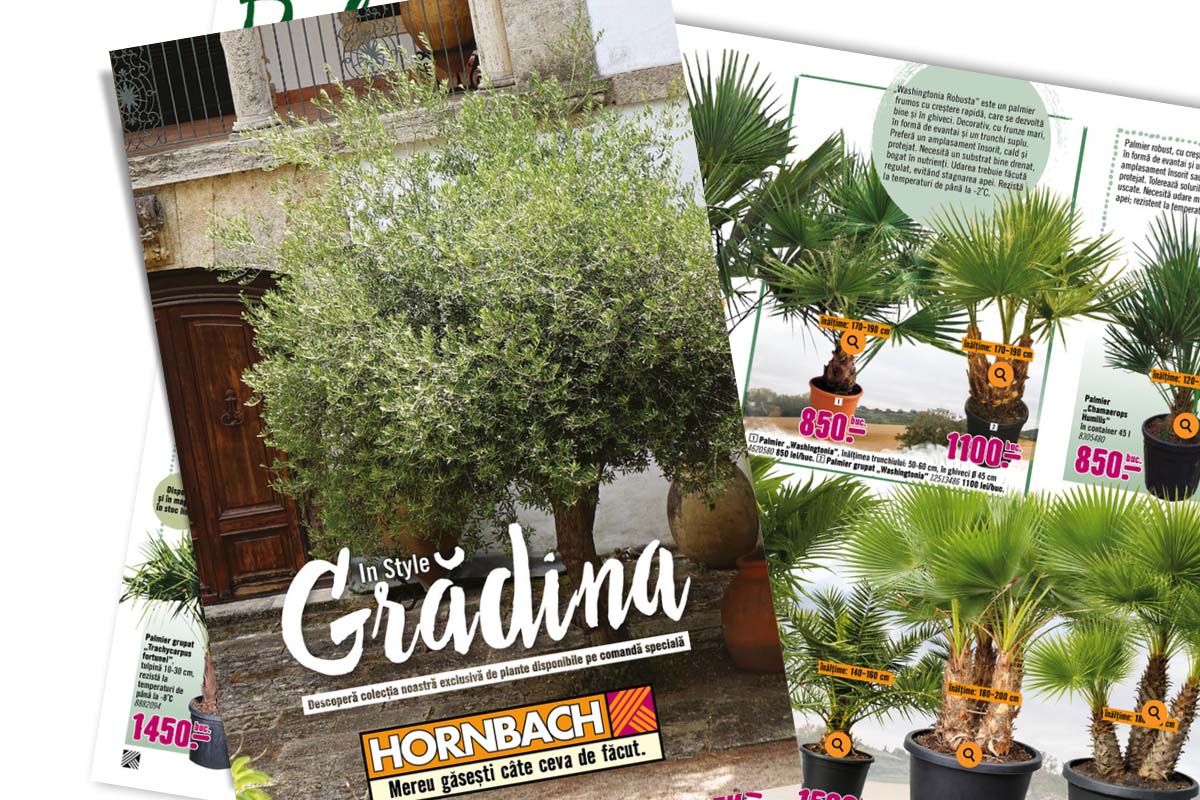 Pagina de catalog Hornbach In Style Grădina cu plante mediteraneene, precum măslini și palmieri de diferite dimensiuni.
