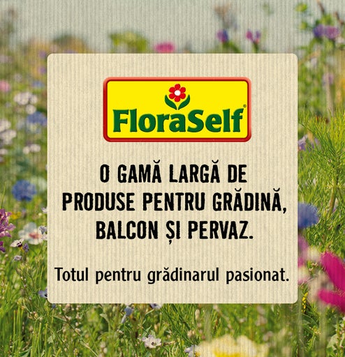 Logo FloraSelf. O gamă largă de produse pentru grădină, balcon și pervaz. Totul pentru grădinarul pasionat.