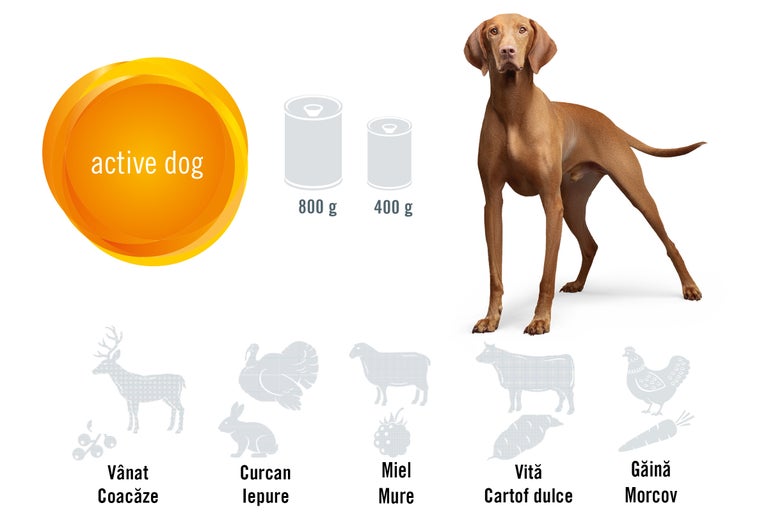 Ilustrație cu hrană pentru câini activi, cu informații nutriționale și ingrediente
